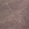 Hummingbird - Nazca, Peru