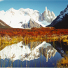 View of Cerro Torre across alpine beech forest in Autumn - Pategonia, Argentina
